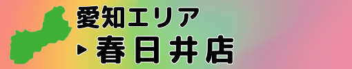 カイトリゲット 春日井店